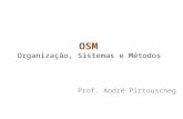 OSM Organização, Sistemas e Métodos Prof. André Pirtouscheg.