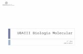 UBAIII Biologia Molecular 1º Ano 2013/2014. 31/out/2013MJC-T06 Sumário: Capítulo V. Síntese e processamento do RNA mensageiro.  O processamento do mRNA.