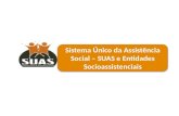 Sistema Único da Assistência Social – SUAS e Entidades Socioassistenciais.