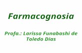 Farmacognosia Profa.: Larissa Funabashi de Toledo Dias.