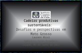 Cadeias produtivas sustentáveis: Desafios e perspectivas em Mato Grosso Laurent Micol Seminário Valor Econômico Cuiabá, 09 de Junho de 2015.