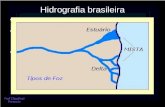 Hidrografia brasileira O Brasil possui poucos lagos e muitos rios Predomínio de rios de planalto –Elevado potencial hidrelétrico Drenagem exorreica –Tributários.