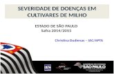 SEVERIDADE DE DOENÇAS EM CULTIVARES DE MILHO Christina Dudienas – IAC/APTA ESTADO DE SÃO PAULO Safra 2014/2015.