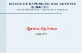 RISCOS DE EXPOSIÇÃO AOS AGENTES QUÍMICOS Marcos Barbosa Horta – Engenheiro de Segurança Agentes Químicos Aula Nº 1.