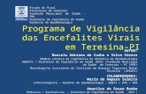 Programa de Vigilância das Encefalites Virais em Teresina-PI AUTOR: Marcelo Adriano da Cunha e Silva Vieira Membro técnico da vigilância da Gerência de.