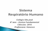 Sistema Respiratório Humano Colégio São José 8º ano – Ensino Fundamental Ciências- 2015 Professora: Vanesca.
