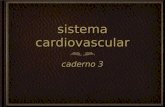 Sistema cardiovascular caderno 3. circulação em peixes circulação simples coração: 2 câmaras.