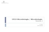 UPCII Microbiologia / Microbiologia Teórica 1 2º Ano 2014/2015.