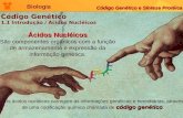 Biologia Código Genético e Síntese Protéica Código Genético 1.1 Introdução / Ácidos Nucléicos Ácidos Nucléicos Ácidos Nucléicos São componentes orgânicos.