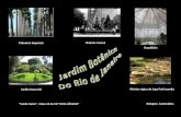 Palmeiras Imperiais Chafariz Central Jardim Sensorial Orquidário Vitórias-régias do Lago Frei Leandro Rolagem Automática “Verde Canto” - Faixa 10 do CD.