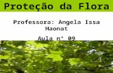 Proteção da Flora Professora: Angela Issa Haonat Aula n° 09.