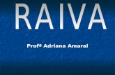 Profª Adriana Amaral. 1- Descrição da doença A raiva é uma doença que acomete mamíferos, e que pode ser transmitida aos homens, sendo portanto, uma zoonose.