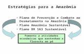Estratégias para a Amazônia Plano de Prevenção e Combate ao Desmatamento na Amazônia Plano Amazônia Sustentável Plano BR 163 Sustentável Fomento a atividades.