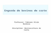 Professor: Fabiano Alvim Barbosa Disciplina: Bovinocultura de Corte Engorda de bovinos de corte.
