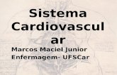 Sistema Cardiovascular Marcos Maciel Junior Enfermagem- UFSCar.