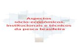 Aspectos sócio-econômicos, institucionais e técnicos da pesca brasileira.