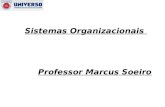 Professor Marcus Soeiro Sistemas Organizacionais.