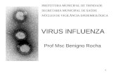 “GRIPE” A influenza ou gripe é uma infecção viral aguda do sistema respiratório que tem distribuição global e elevada transmissibilidade. Classicamente,