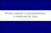 Prisão cautelar e procedimentos: a síndrome de Jano São Paulo, 18 de agosto 2007.