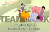 Projetos Ágeis SUCESU-SP 2007 – 9a. Edição. Apresentação As pessoas, seus valores e responsabilidades Os processos, técnicas e táticas A ferramenta, a.