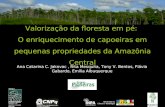 Valorização da floresta em pé: O enriquecimento de capoeiras em pequenas propriedades da Amazônia Central Ana Catarina C. Jakovac, Rita Mesquita, Tony.