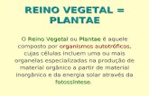 REINO VEGETAL = PLANTAE O Reino Vegetal ou Plantae é aquele composto por organismos autotróficos, cujas células incluem uma ou mais organelas especializadas.