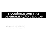 BIOQUÍMICA DAS VIAS DE SINALIZAÇÃO CELULAR Prof. Guilherme Rapozeiro França.