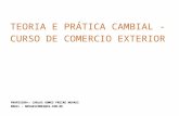 TEORIA E PRÁTICA CAMBIAL - CURSO DE COMERCIO EXTERIOR PROFESSOR>: CARLOS GOMES FREIRE NOVAES EMAIL - NOVAESCOMEX@IG.COM.BR.