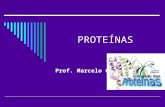 PROTEÍNAS Prof. Marcelo C. Proteínas  Definição – Macromoléculas (monômeros) constituídas por unidades chamadas de aminoácidos.