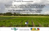 Projeto Zoneamento Teresina / Piauí - Maio / 2006 Evolução dos trabalhos com mandioca, pela Embrapa, na Região Meio-Norte do Brasil. José Oscar Lustosa.