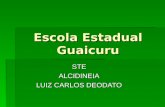 Escola Estadual Guaicuru STE ALCIDINEIA LUIZ CARLOS DEODATO.