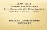 CEAP – 2013 Curso de Administração Disc. Sociologia das Organizações Profº: Luiz Alberto C. Guedes.