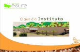 O que é o Instituto Estre ?. Áreas de Atuação Educação Ambiental Conhecimento e Pesquisa Incentivo ao Reflorestamento Urbano Inclusão Social.