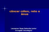 Câncer cólon, reto e ânus Lauzamar Roge Salomão Junior Cirurgião Oncológico.