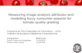 Measuring image analysis attributes and modelling fuzzy consumer aspects for tomato quality grading Programa de Pós-Graduação em Informática – UFRJ Trabalho.