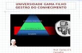 UNIVERSIDADE GAMA FILHO GESTÃO DO CONHECIMENTO Prof. Carlos A S Carvalho.