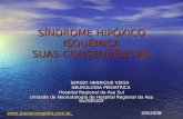 SÍNDROME HIPÓXICO ISQUÊMICA SUAS CONSEQÜÊNCIAS SERGIO HENRIQUE VEIGA SERGIO HENRIQUE VEIGA NEUROLOGIA PEDIATRICA NEUROLOGIA PEDIATRICA Hospital Regional.