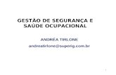 1 ANDRÉA TIRLONE andreatirlone@superig.com.br GESTÃO DE SEGURANÇA E SAÚDE OCUPACIONAL.