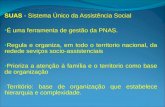 SUAS - Sistema Único da Assistência Social É uma ferramenta de gestão da PNAS. Regula e organiza, em todo o territorio nacional, da redede seviços socio-assistenciais.