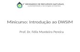 Minicurso: Introdução ao DWSIM Prof. Dr. Félix Monteiro Pereira.