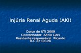 Injúria Renal Aguda (AKI) Curso de UTI 2009 Coordenador: Aécio Gois Residente responsável: Ricardo B.C de Souza.