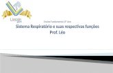 Ensino Fundamental, 8º Ano Sistema Respiratório e suas respectivas funções Prof. Léo.