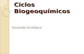 Ciclos Biogeoquímicos Sucessão Ecológica. Os ciclos biogeoquímicos Processo em que os seres vivos mantêm constante troca de matéria com o ambiente. Os.