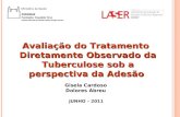 JUNHO – 2011 Avaliação do Tratamento Diretamente Observado da Tuberculose sob a perspectiva da Adesão Gisela Cardoso Dolores Abreu.