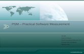 PSM – Practical Software Measurement Equipe: Acauã Amâncio Elaine Buonafina Alves de Lima Erivaldo Melo de Bastos Marcelo Dias.