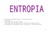 1 Processos Reversíveis e Irreversíveis Entropia Entropia de um Gas Ideal Variação de Entropia para Processos Reversíveis Variação de Entropia para Processos.