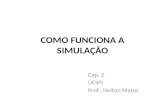 COMO FUNCIONA A SIMULAÇÃO Cap. 2 UESPI Prof.: Helton Matos.