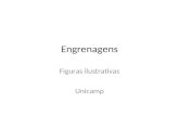 Engrenagens Figuras ilustrativas Unicamp. Figura 1- Engrenagem Cilíndrica de Dentes Retos.