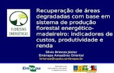 Recuperação de áreas degradadas com base em sistema de produção florestal energético-madeireiro: indicadores de custos, produtividade e renda Ministério.