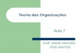 Aula 7 Profª ENISE ARAGÃO DOS SANTOS Teoria das Organizações.